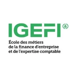 IGEFI